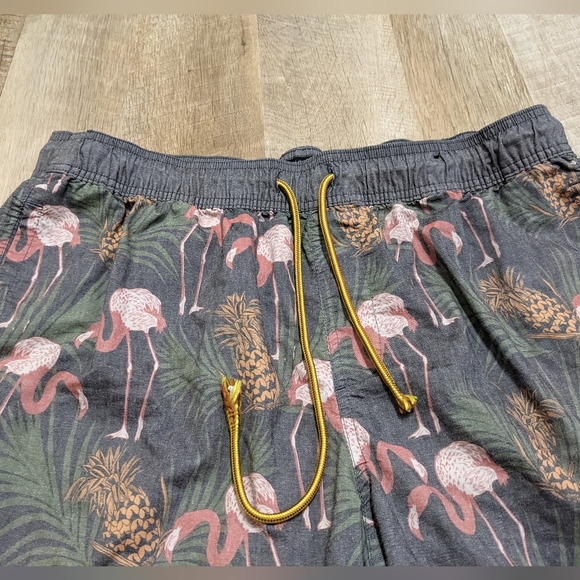 Valor Collective Flamingo pineapple Print Swimming Trunks - Picture 4 of 12